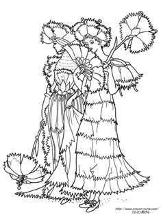 carna-wr-sen-p2-web.jpg